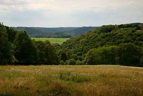 Foto: Blick auf die Wupper und die Rheinebene