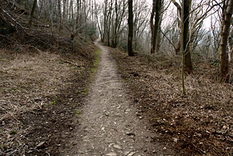 Foto: geputzter Wanderweg