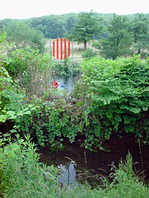 Foto zeigt das Kunstwerk 'Flusswchter' von Rainer Grassmuck