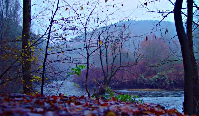 Herbst oder schon Winter an der Wupper