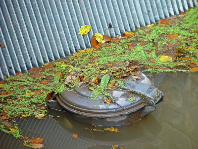 Mlltonne im Hochwasser