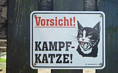 Vorsicht Kampfkatze