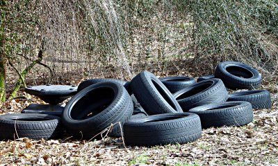 Foto: In der Wildns entsorgte Autoreifen