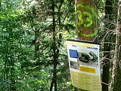 Foto: Baumstamm mit farblicher Markierung, 33 und einer Hinweistafel