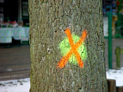 Foto: Baumstamm mit farblicher Markierung, rotes Kreuz auf grnem Punkt