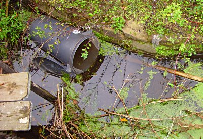 Restmlltonne im Obergraben des Balkhauser Kottens