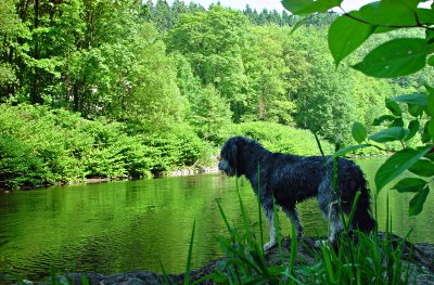 der beste Platz in der Wupper zu Solingen