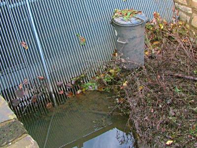 Mlltonne im Hochwasser