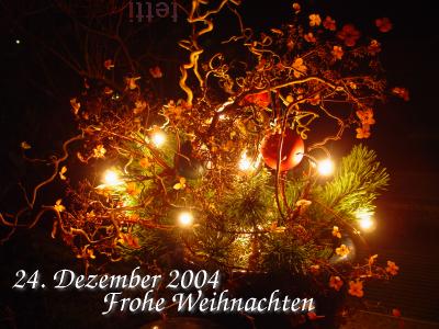 Weihnachtsbeleuchtung 2004