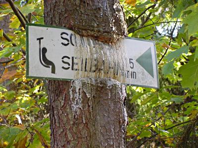 Seilbahn Schloss Burg - Hinweisschild