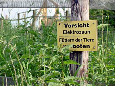 Schild: Vorsicht Elektrozaun - Fttern der Tiere verboten